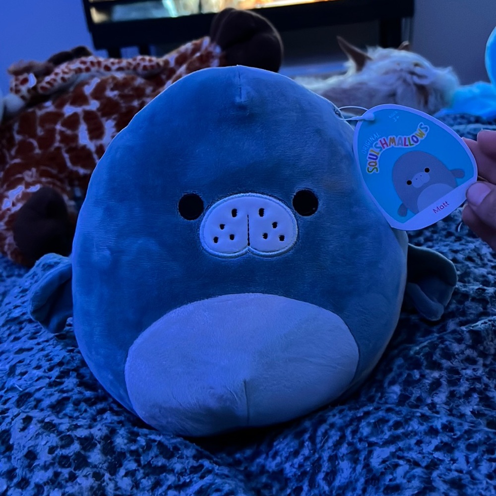 Matt The Manatee Squishmallow
